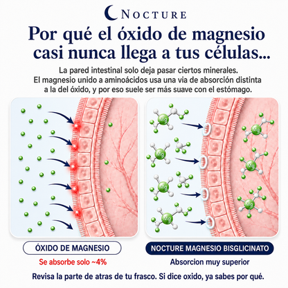 | Nocture - Gomitas de bisglicinato de magnesio