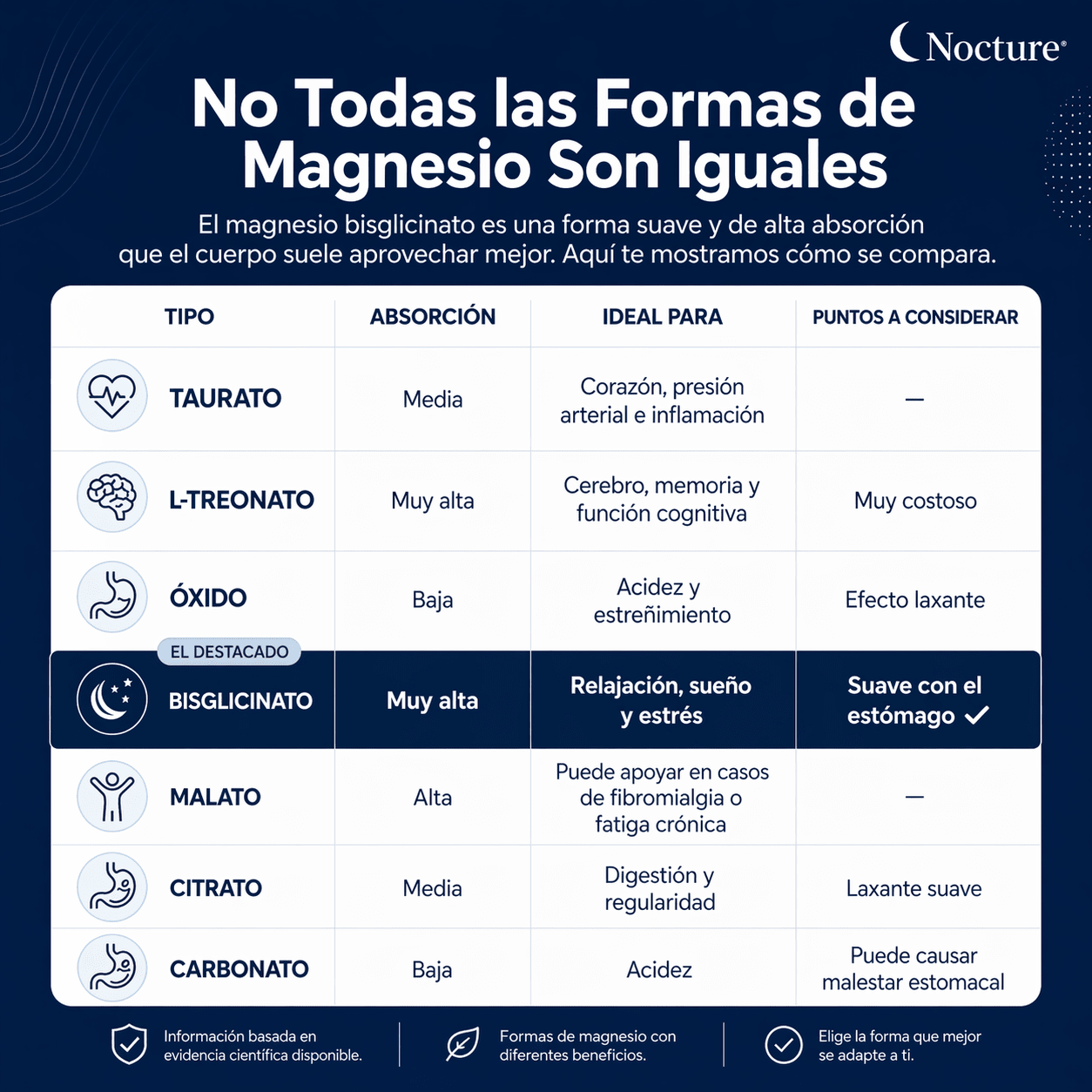 Nocture | Gomitas de bisglicinato de magnesio - Nocture